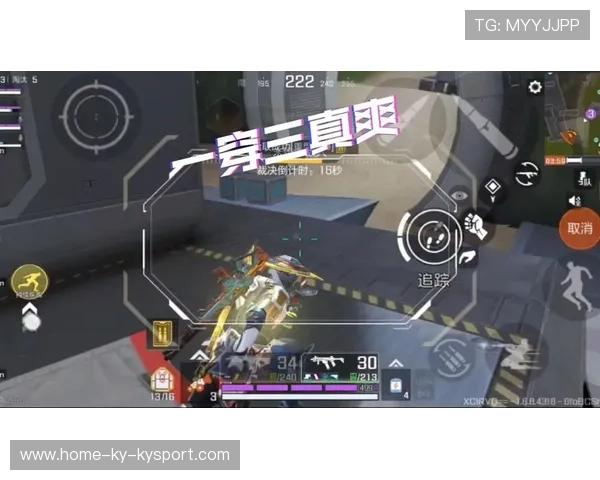 战术镜头：高频出场英雄组合的克制与应对策略